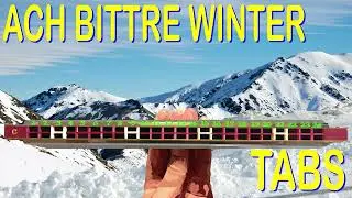 How to Play Ach Bittre Wintre / Winter is Here - German Folk Song - On a Tremolo Harmonica 24 Holes