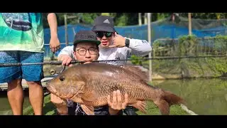 Shimano Stella 4000M (2022 JDM) vs Giant Trevally