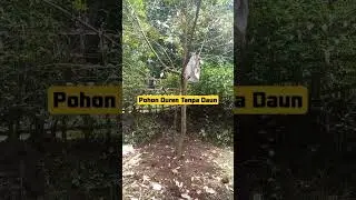 #reel #reels #reelsvideo #shortvideo #shortsvideo