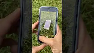 iPhone 11 Purple Camera Test
