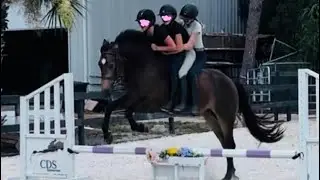 Overloading mini Pony and mini Donkey. Horse Digby slapped, inhumane manner, cruel use crop to whip