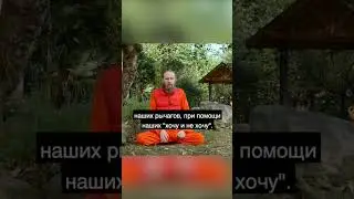 Как звезды управляют нами?