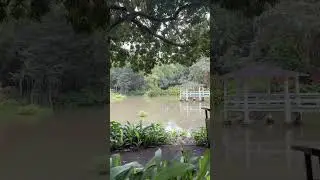 Haiku Gardens, Kaneohe #oahu #hawaii #hawaiistagram #oahulife  #haikugardens #kaneohe #haliewajoes