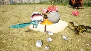 BoB - Testing the new Patch!