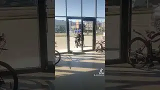 Поздравляем Марка и Алексея с покупкой новенького мотоцикла Progasi Palma 300 Новика 2024
