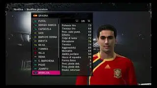 statistiche dei giocatori della spagna su pro evolution soccer 2010
