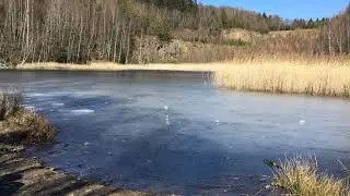 пушим чарли на 25 ранг, заходите