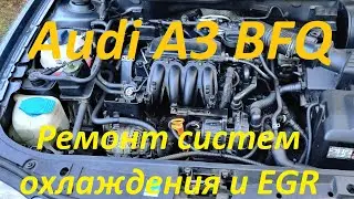 Ремонт систем охлаждения и EGR в Ауди A3 1.6 BFQ