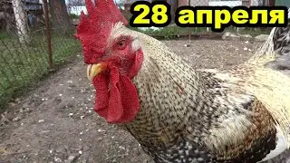 28 апреля. Весенний обход