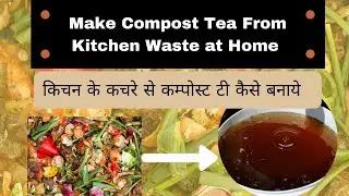 Compost Tea | खाद की चाय | Tips for Plants Growth