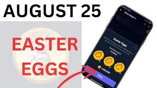 Rocky rabbit Easter eggs today August 25