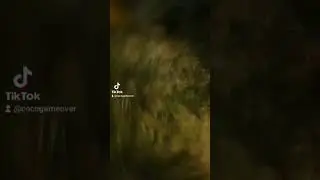 Cuando TE OBSESIONAS CON UN JUEGO RUST PARTE 4!