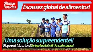 [Português 포어] Fazenda Doalnara Oasis Orgânica Brazil Coreano K-농업 🌱돌나라 오아시스 농장