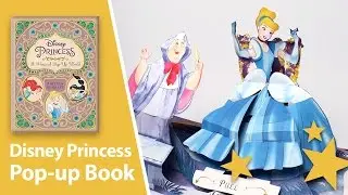 Disney Princess: A Magical Pop-Up World by Matthew Reinhart