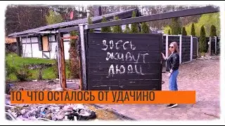 ТИШКИ. ТО, ЧТО ОСТАЛОСЬ ОТ УДАЧИНО