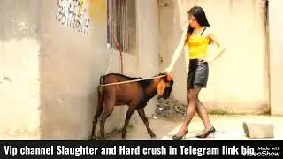 Slaughter goat