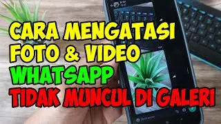 Cara Mengatasi Foto Dan Video Dari WhatsApp Tidak Muncul Di Galeri