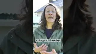 How many eggs do chickens lay?
