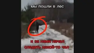 мы пошли в лес и за нами начал следить какой-то мужик