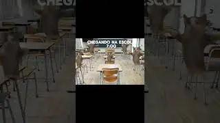 Eu Indo Para "A MINHA ESCOLA" De Manhã Versão Gatinhos Fofos