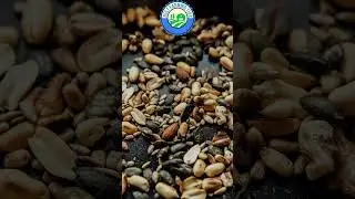 🥜Round nuts health benefits & nutrients #farming #facts #nuts