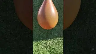 ШАРИК С ВОДОЙ + ПНЕВМАТИКА = 😍