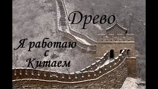 ДРЕВО.