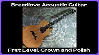 Breedlove Quick Fret Level