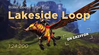 Beetle Racing On Griffon // 𝗟𝗮𝗸𝗲𝘀𝗶𝗱𝗲 𝗟𝗼𝗼𝗽