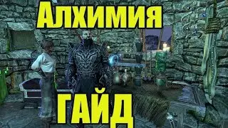 The Elder Scrolls Online (TESO - ТЕСО): Гайд для новичков по Алхимии