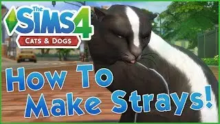 How to Make Custom Stray (and Wild!) Animals! 🐱🐶 Sims 4: Cats & Dogs Tutorial