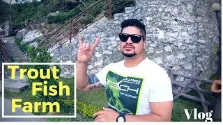 Trout Fish Farm  | kakani | Stone Palace | Vlog