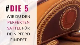 5 Tipps! Wie du den perfekten Sattel für dein Pferd findest