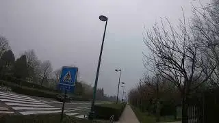 Run 7km Disneyland Paris - 03.01.2021 - (Magny-le-Hongre - Montévrain)