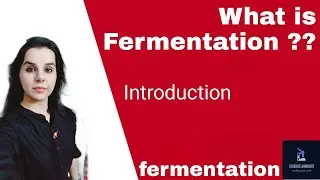 Fermentation - Introduction to fermentation
