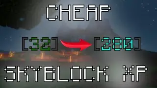 How To Level Up FAST (FREE/CHEAP) | Hypixel Skyblock