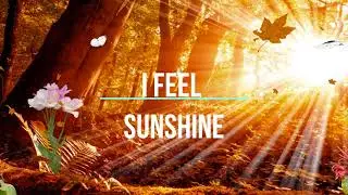 León Beck- Sunshine (video lyrics)                