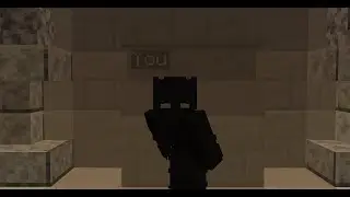 My Stupid Perk SMP Application