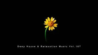 CEV's Tribute Mix | Summer Edition 2023 | Deep House & Relaxation Music Vol.167