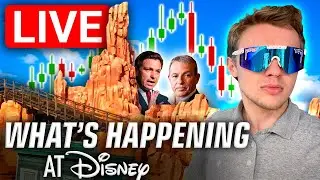 🔴 LIVE: LATEST NEWS on Reedy Creek and our Frontierland Overhaul Scoop! |  Disney Stream
