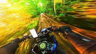 THIS IS WHERE THE FUN HAPPENS! | YAMAHA MT-09 SP + AKRAPOVIC [4K]
