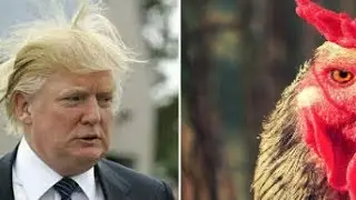 Трамп оттолкнул премьера Черногории на саммите НАТО