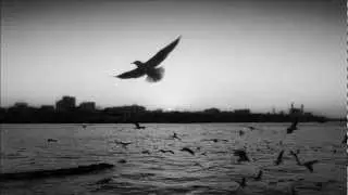Luke Danfield - Falling Water (Original Mix)