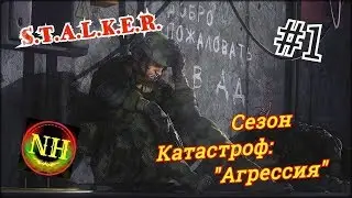 Сталкер Сезон катастроф: 