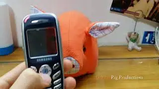 Samsung X100 Retrospective-Ringtones, Features & More!