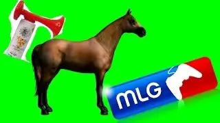 super MLG horse show