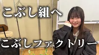 Kobushi Factory's group LINE has started!