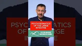 Psychosomatics of the large intestine #constipation #bloating #psychosomatics