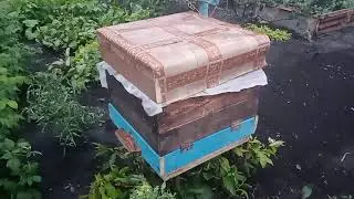 вот такой улей своими руками