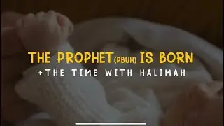 The Story of Prophet Muhammad (PBUH) - Part 5